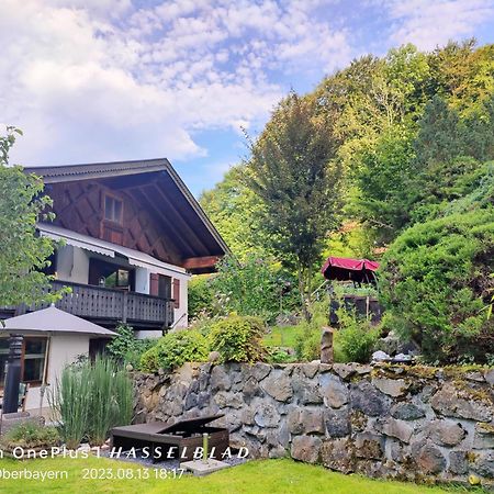 הולשטאדט Ferienapartment Opitz - Zugspitzregion מראה חיצוני תמונה