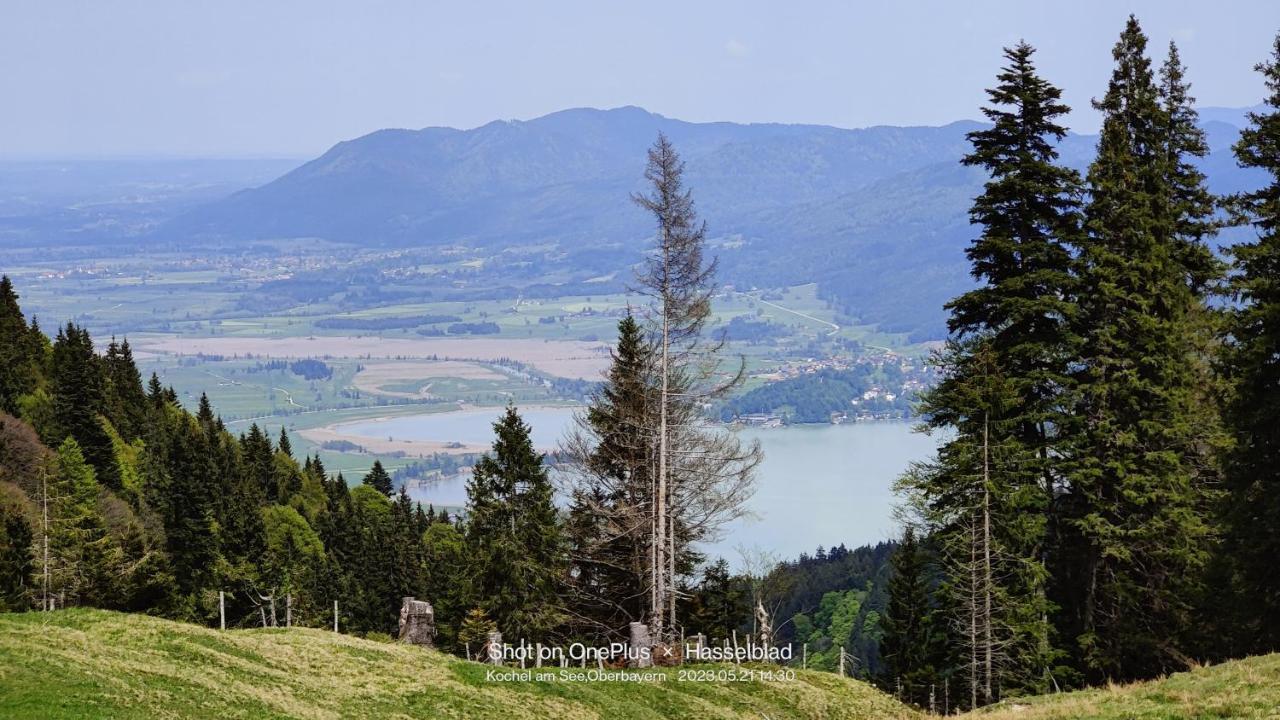 הולשטאדט Ferienapartment Opitz - Zugspitzregion מראה חיצוני תמונה