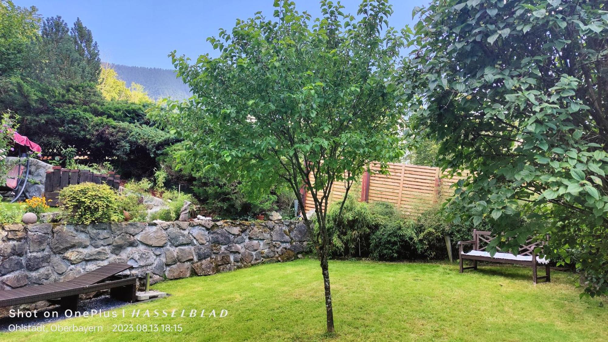 הולשטאדט Ferienapartment Opitz - Zugspitzregion מראה חיצוני תמונה