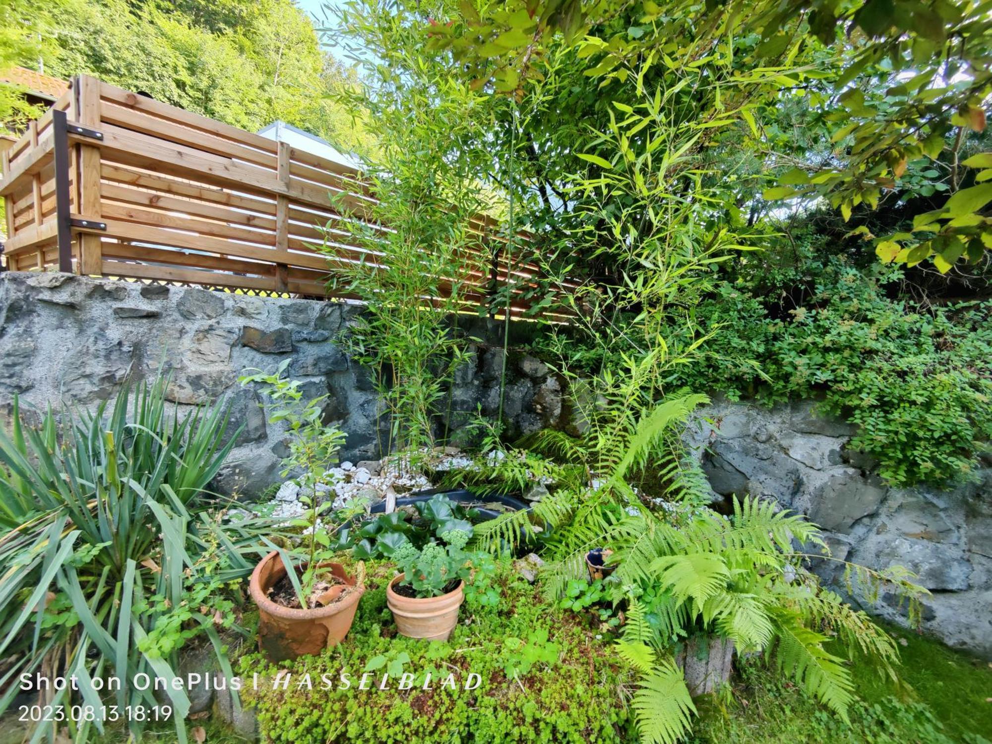 הולשטאדט Ferienapartment Opitz - Zugspitzregion מראה חיצוני תמונה